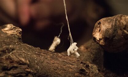 NEJMENŠÍ ZE SÁMŮ (THE SMALLEST SÁMI)